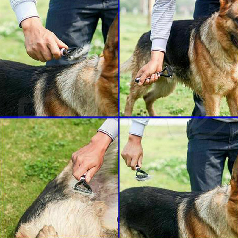 Escova especial Hair Remover